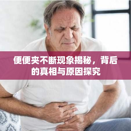 便便夹不断现象揭秘，背后的真相与原因探究