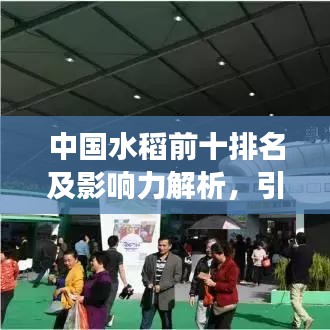 中国水稻前十排名及影响力解析，引领全球稻米市场风向标！