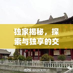 独家揭秘，探索与独享的交融，独占类似佳作盘点！