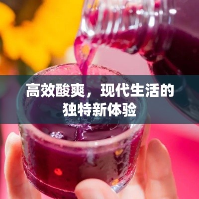 高效酸爽，现代生活的独特新体验