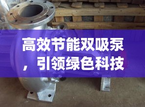 高效节能双吸泵，引领绿色科技新时代的理想泵选