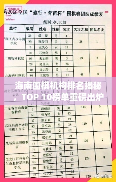 海南围棋机构排名揭秘，TOP 10榜单重磅出炉！