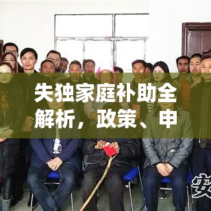 失独家庭补助全解析，政策、申请步骤与您的权益保障