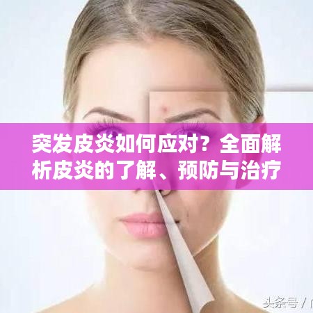 天罗地网 第2页