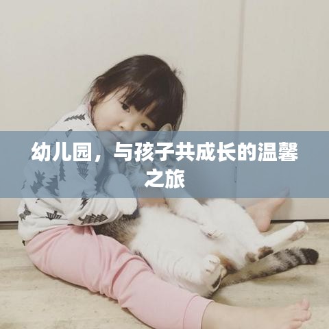 幼儿园，与孩子共成长的温馨之旅