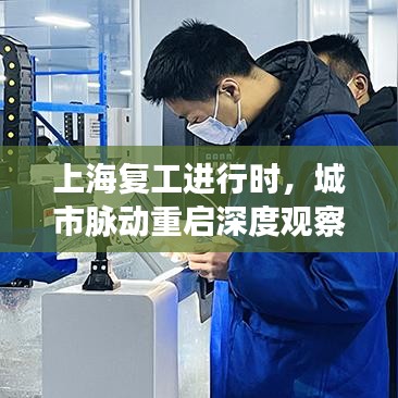 上海复工进行时，城市脉动重启深度观察