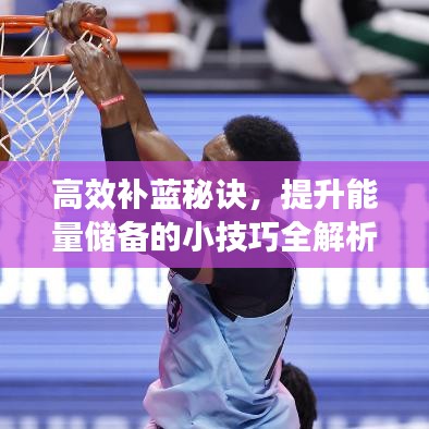 高效补蓝秘诀，提升能量储备的小技巧全解析