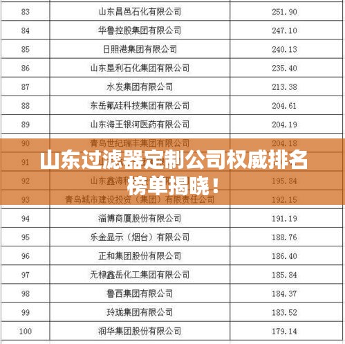 山东过滤器定制公司权威排名榜单揭晓！