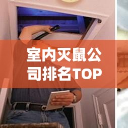 室内灭鼠公司排名TOP榜及专业服务解析