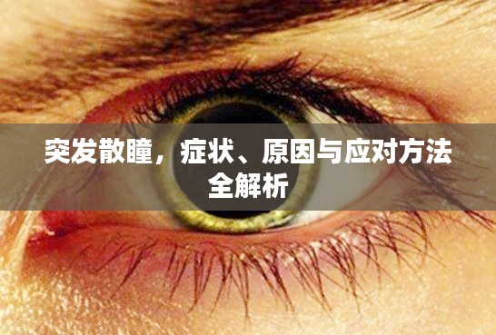 突发散瞳，症状、原因与应对方法全解析