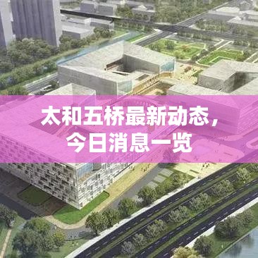 太和五桥最新动态，今日消息一览
