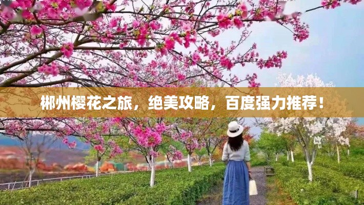 郴州樱花之旅，绝美攻略，百度强力推荐！