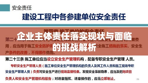 企业主体责任落实现状与面临的挑战解析