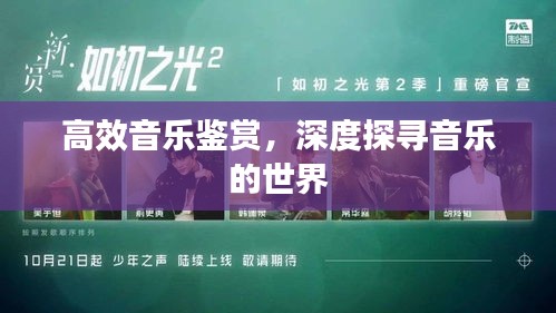 高效音乐鉴赏，深度探寻音乐的世界