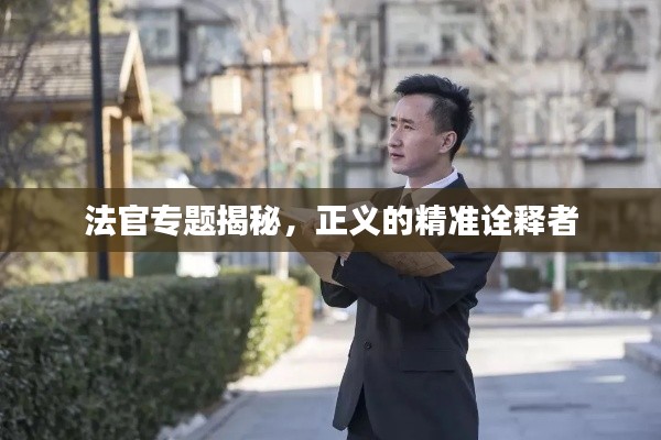 法官专题揭秘，正义的精准诠释者