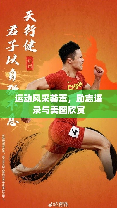 运动风采荟萃，励志语录与美图欣赏