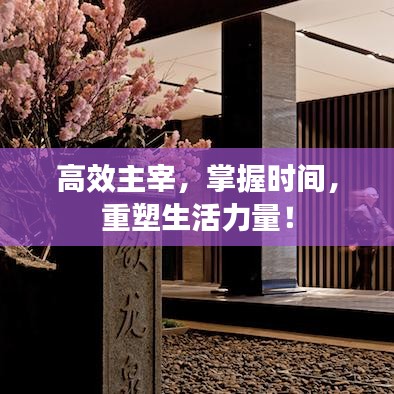 高效主宰，掌握时间，重塑生活力量！