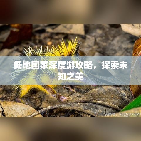 低地国家深度游攻略，探索未知之美