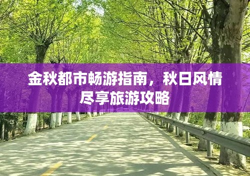 金秋都市畅游指南，秋日风情尽享旅游攻略