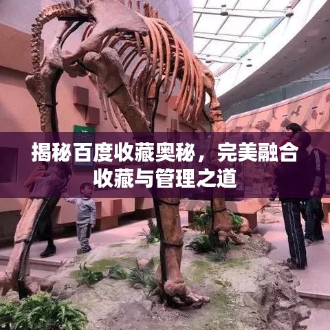 揭秘百度收藏奥秘，完美融合收藏与管理之道