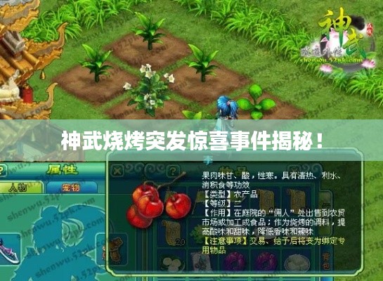 神武烧烤突发惊喜事件揭秘！