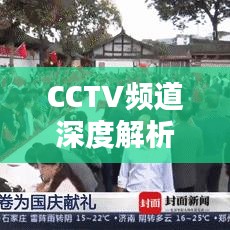CCTV频道深度解析，揭秘央视频道的魅力与影响力