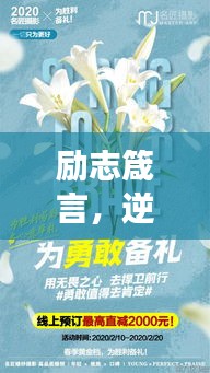 励志箴言，逆境中坚韧不拔，无畏打击，勇往直前！