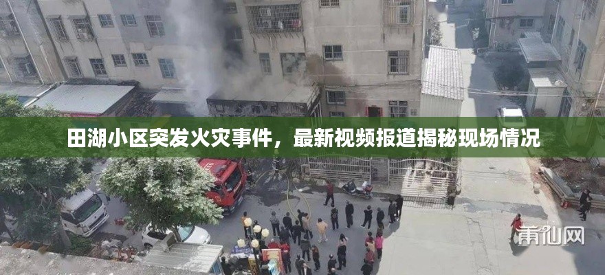 田湖小区突发火灾事件，最新视频报道揭秘现场情况