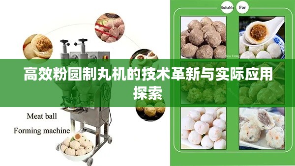 高效粉圆制丸机的技术革新与实际应用探索