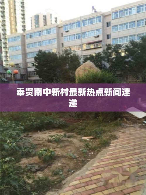 奉贤南中新村最新热点新闻速递