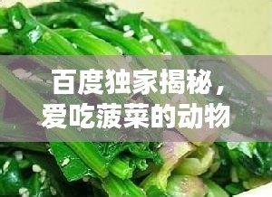 百度独家揭秘，爱吃菠菜的动物世界探索