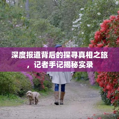 深度报道背后的探寻真相之旅，记者手记揭秘实录