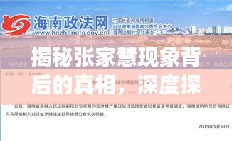 揭秘张家慧现象背后的真相，深度探究报道独家揭秘