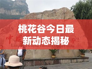 桃花谷今日最新动态揭秘