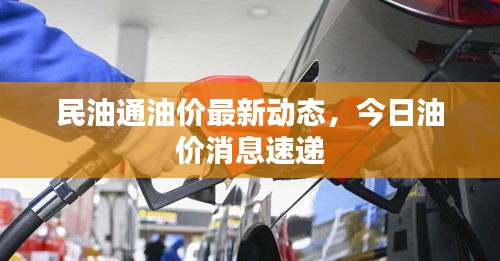 民油通油价最新动态，今日油价消息速递