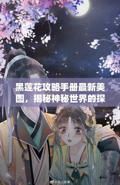 黑莲花攻略手册最新美图，揭秘神秘世界的探索指南