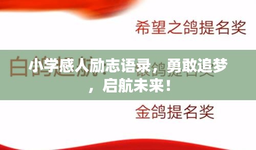小学感人励志语录，勇敢追梦，启航未来！