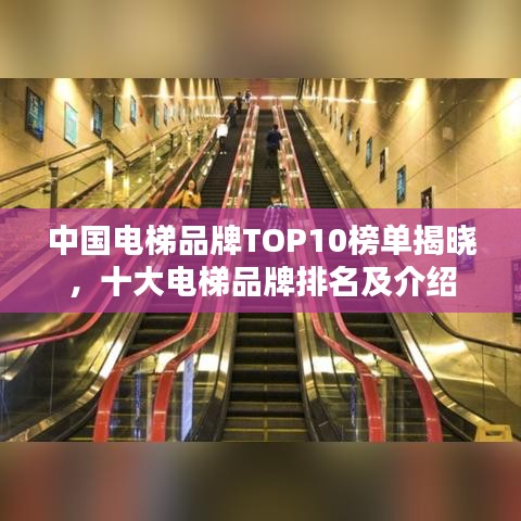 中国电梯品牌TOP10榜单揭晓，十大电梯品牌排名及介绍
