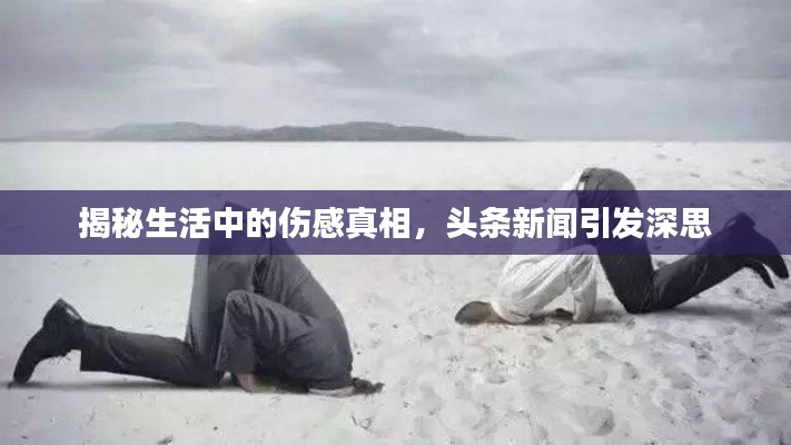 揭秘生活中的伤感真相，头条新闻引发深思