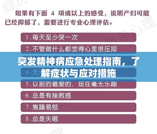 突发精神病应急处理指南，了解症状与应对措施