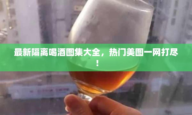 最新隔离喝酒图集大全，热门美图一网打尽！