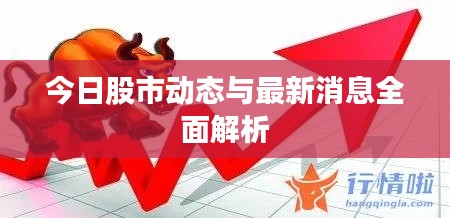 今日股市动态与最新消息全面解析