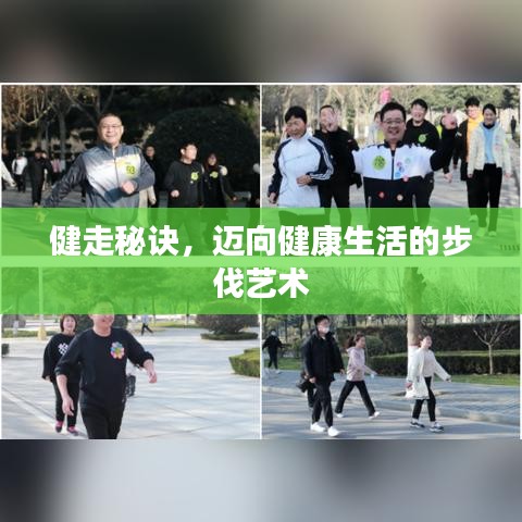 健走秘诀，迈向健康生活的步伐艺术