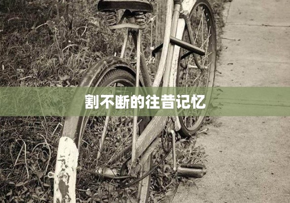 割不断的往昔记忆