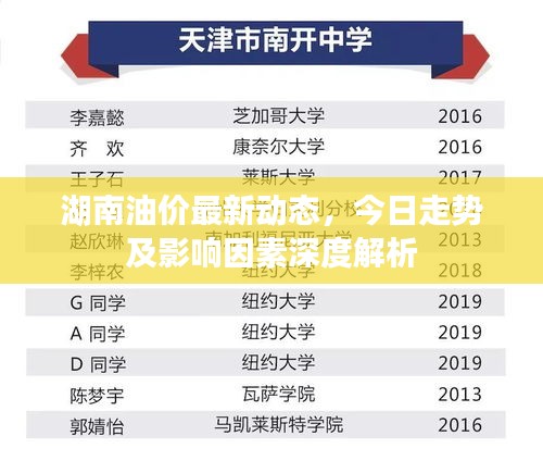 湖南油价最新动态，今日走势及影响因素深度解析