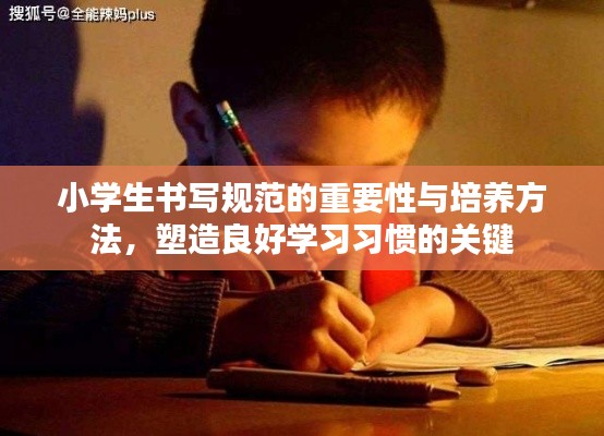 小学生书写规范的重要性与培养方法，塑造良好学习习惯的关键