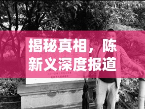 揭秘真相，陈新义深度报道独家揭秘不为人知的秘密