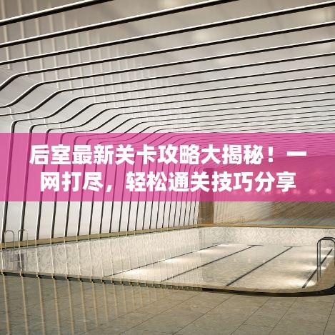后室最新关卡攻略大揭秘！一网打尽，轻松通关技巧分享