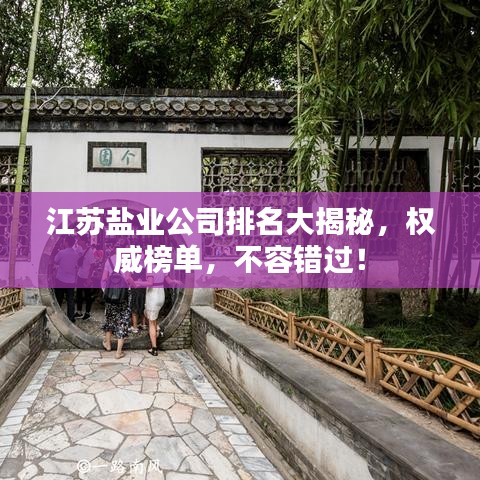 江苏盐业公司排名大揭秘，权威榜单，不容错过！