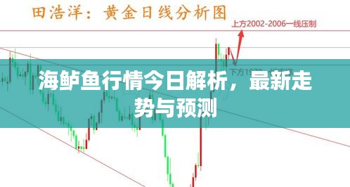 海鲈鱼行情今日解析，最新走势与预测